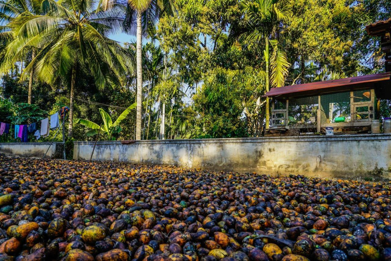 Spice Garden Farm House سلطان بتيري المظهر الخارجي الصورة