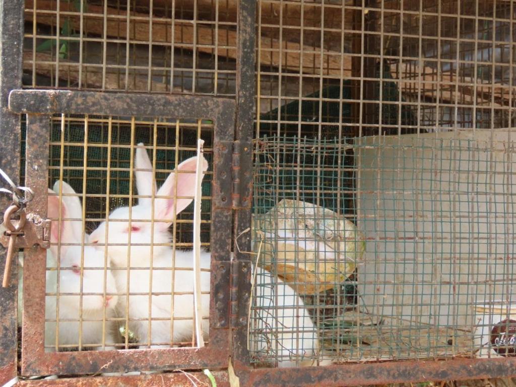 Spice Garden Farm House سلطان بتيري المظهر الخارجي الصورة