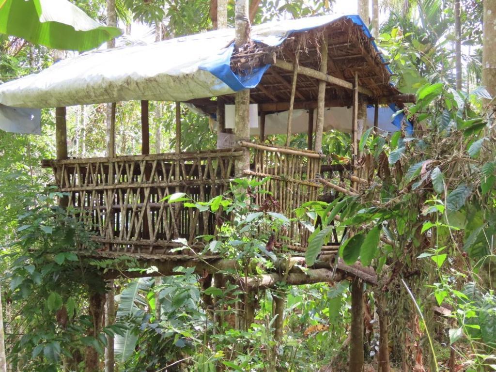 Spice Garden Farm House سلطان بتيري المظهر الخارجي الصورة