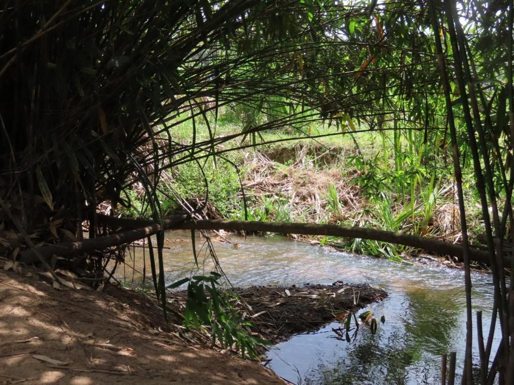 Spice Garden Farm House سلطان بتيري المظهر الخارجي الصورة