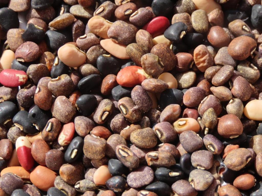 Spice Garden Farm House سلطان بتيري المظهر الخارجي الصورة